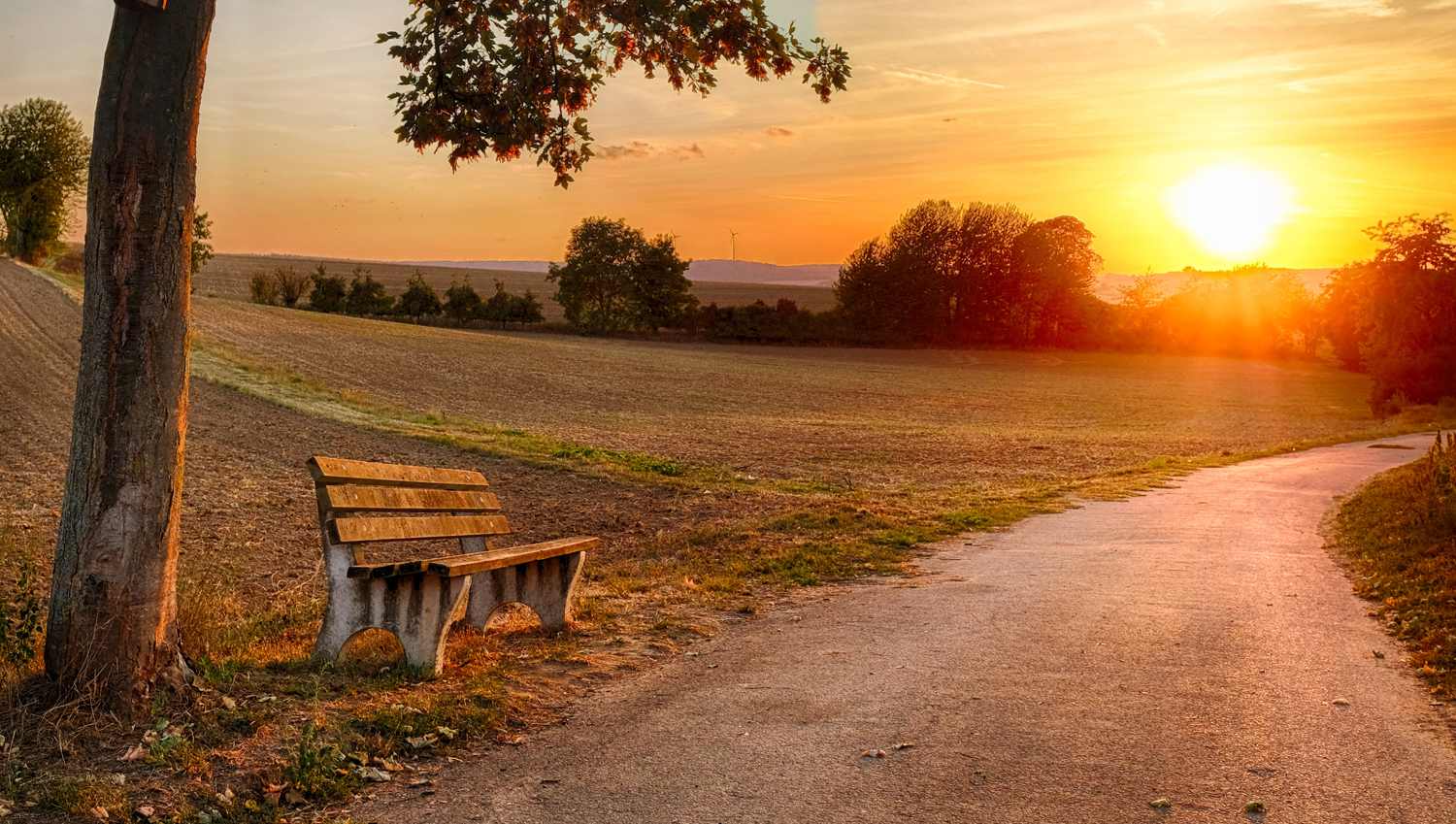 Headerbild 1